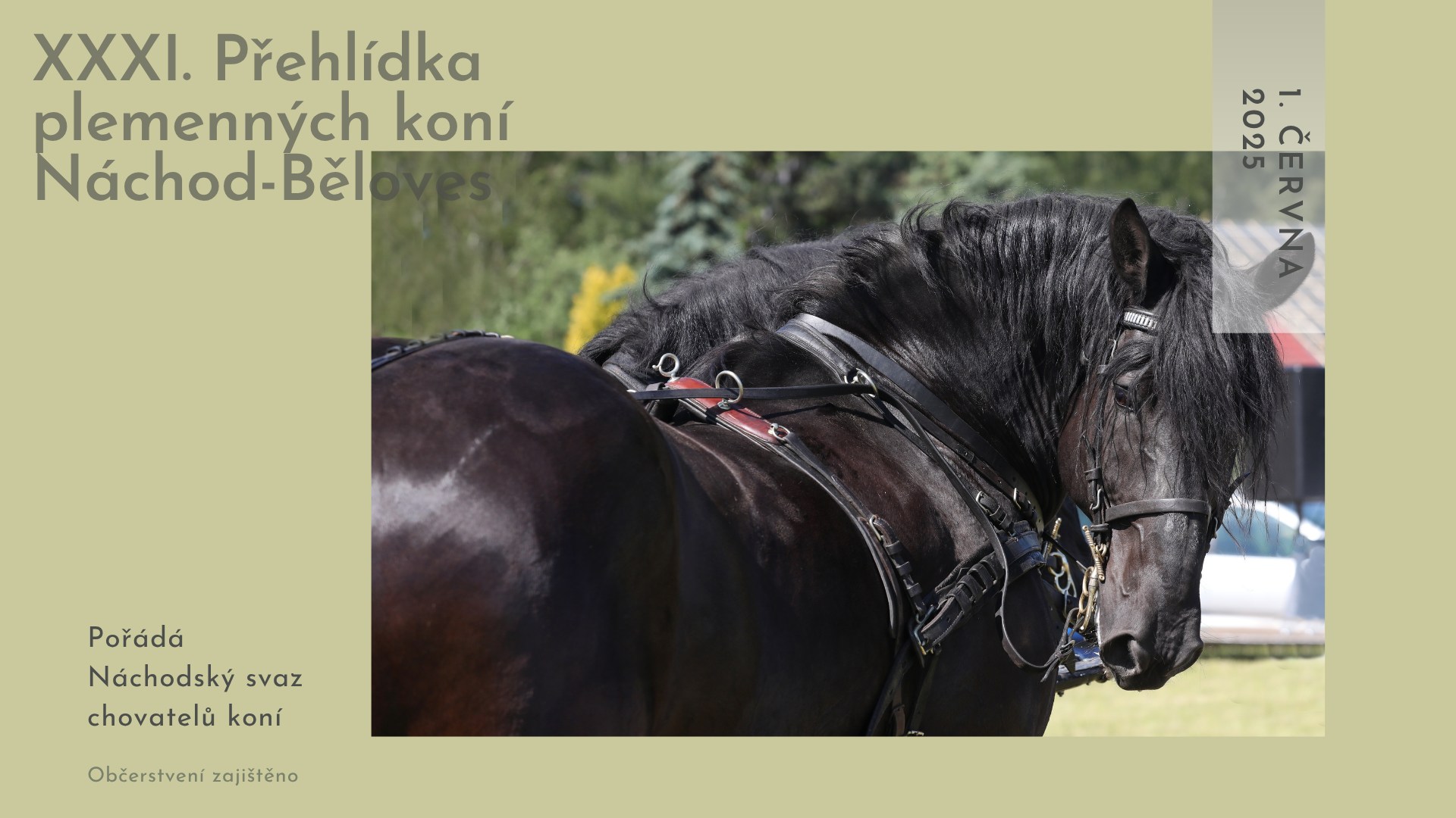 PlakátPřehlídka plemenných koní